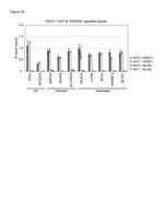 HDAC1 Antibody in ChIP Assay (ChIP)