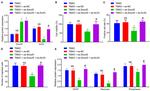 PTPRZ Antibody in Western Blot (WB)