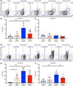 CD8 alpha Antibody in Flow Cytometry (Flow)