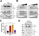 MARCH1 Antibody in Flow Cytometry (Flow)