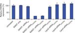 CXCR4 Antibody