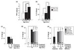 TNF alpha Antibody