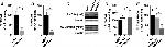 PMCA4 ATPase Antibody