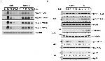 Phospho-p38 MAPK (Thr180, Tyr182) Antibody