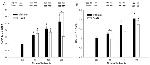 GAP43 Antibody