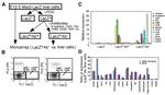 CD309 (FLK1) Antibody in Flow Cytometry (Flow)