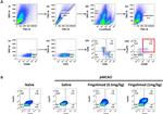 CD45 Antibody in Flow Cytometry (Flow)