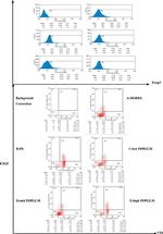 CD4 Antibody in Flow Cytometry (Flow)