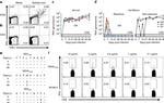 CD4 Antibody in Flow Cytometry (Flow)