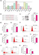 IL-4 Antibody in Flow Cytometry (Flow)