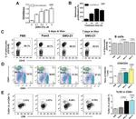 CD4 Antibody in Flow Cytometry (Flow)