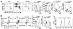 CD4 Antibody in Flow Cytometry (Flow)