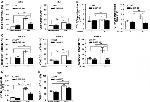 CD4 Antibody in Flow Cytometry (Flow)