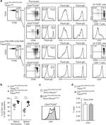 CD4 Antibody in Flow Cytometry (Flow)