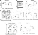 CD25 Antibody in Flow Cytometry (Flow)