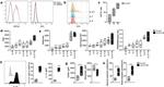 IL-33R (ST2) Antibody in Flow Cytometry (Flow)