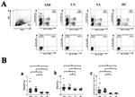 IFN gamma Antibody in Flow Cytometry (Flow)