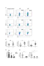 IFN gamma Antibody in Flow Cytometry (Flow)