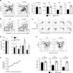 TCR beta Antibody in Flow Cytometry (Flow)