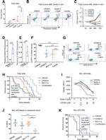 Ly-6G/Ly-6C Antibody in Flow Cytometry (Flow)