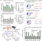 F4/80 Antibody in Flow Cytometry (Flow)