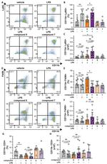 CD11b Antibody in Flow Cytometry (Flow)