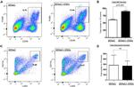 CD11b Antibody in Flow Cytometry (Flow)