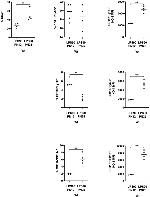 CD11b Antibody in Flow Cytometry (Flow)