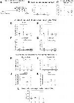 CD11b Antibody in Flow Cytometry (Flow)