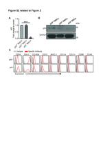 CD45 Antibody in Flow Cytometry (Flow)