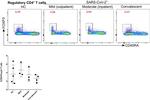 CD45RA Antibody in Flow Cytometry (Flow)