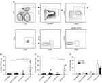 CD127 Antibody in Flow Cytometry (Flow)