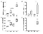 CD29 (Integrin beta 1) Antibody in Flow Cytometry (Flow)