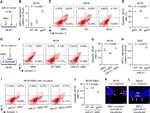 CD45 Antibody in Flow Cytometry (Flow)