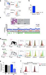 CD34 Antibody in Flow Cytometry (Flow)