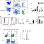 CD44 Antibody in Flow Cytometry (Flow)