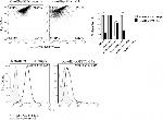 CD44 Antibody in Flow Cytometry (Flow)