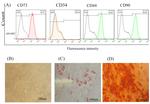 CD44 Antibody in Flow Cytometry (Flow)