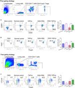 CD44 Antibody in Flow Cytometry (Flow)