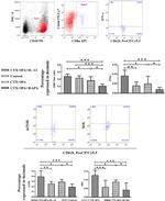 IFN gamma Antibody in Flow Cytometry (Flow)