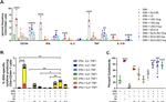 CD44 Antibody in Flow Cytometry (Flow)