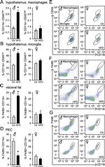 CD45 Antibody in Flow Cytometry (Flow)