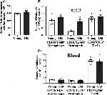 CD45 Antibody in Flow Cytometry (Flow)