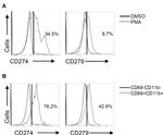 CD274 (PD-L1, B7-H1) Antibody in Flow Cytometry (Flow)