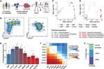 CD71 (Transferrin Receptor) Antibody in Flow Cytometry (Flow)