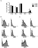 CD105 (Endoglin) Antibody in Flow Cytometry (Flow)