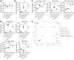 CD8a Antibody in Flow Cytometry (Flow)