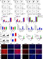 CD274 (PD-L1, B7-H1) Antibody in Flow Cytometry (Flow)