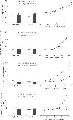 CD106 (VCAM-1) Antibody in Immunocytochemistry, Flow Cytometry (ICC/IF, Flow)