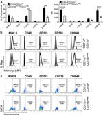 CD115 (c-fms) Antibody in Flow Cytometry (Flow)